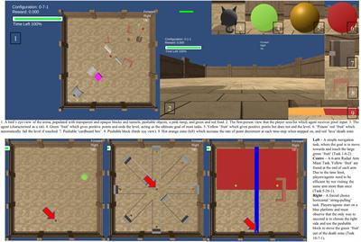 Direct Human-AI Comparison in the Animal-AI Environment